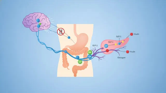 Diagram of the inc