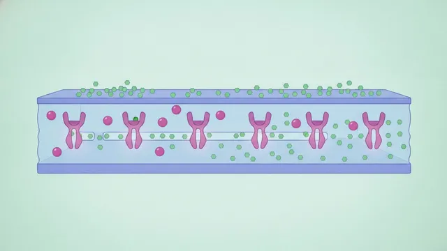 Type 2 Diabetes Is the Last Chapter of a Story That Started Years Earlier